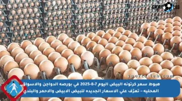 هبوط سعر كرتونة البيض اليوم 7-8-2025 في بورصة الدواجن والأسواق المحلية – تعرّف على الأسعار الجديدة للبيض الأبيض والأحمر والبلدي